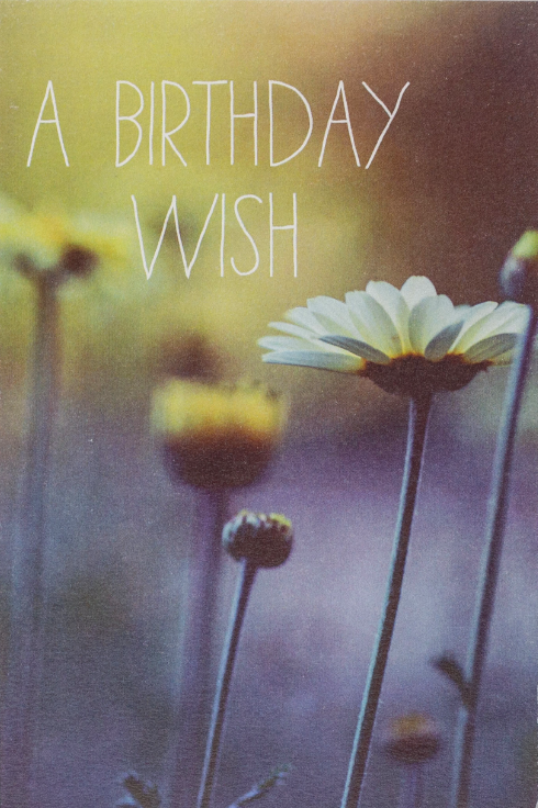 Daisy Birthday Wish - Cake Card